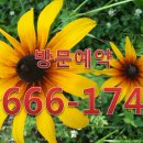 삼성홈타운 이미지