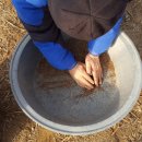 구주령 산채농원 이미지