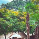 섬지캠핑장 이미지