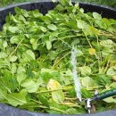 청대농장 이미지