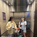 효정보건소 | 퍼스여행 3일차 :: 쿼카섬 로트네스트 방문, 쿼카한테 물린 후기
