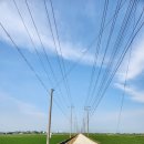 인주관암2리경로당 | [아산둘레길] Go Go 걸매리해안길(인주)의 사계를 걷다 : 아산 유일의 바다이면서 갯벌을 간직한 곳