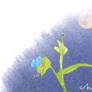 월롱역 앞 이미지