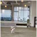 우다다댕산 이미지