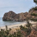 청량산의 봄 이미지