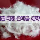 제니스세탁 이미지