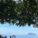 초전마을야영장 이미지