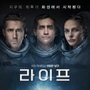라이프 이미지
