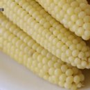 개운농장 이미지