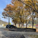 가평잣고을시장 창업경제타운 이미지