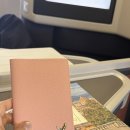 SI 엔터테인먼트 | 티웨이항공 비즈니스석 후기 (B777-300)