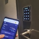 호텔와이(호텔Y) 이미지