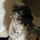 계양프라자(주부토로) | 가을 오는중 코로나 조심하세유