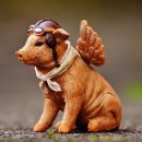 돼지꿈파는집 이미지