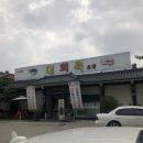 대륙회초밥