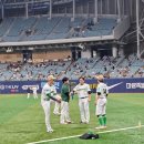 엑스파일 | 명탐정 호숭씨 X-File [고척돔야구장] LG TWINS 로얄다이아석 D03 구역 후기