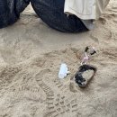 심재원한의원 | [부산여행 D+1] 다시 또 부산🌊 | 전포 셔터 · 므므 · 해운대31cm해물칼국수 · 아모레 부산