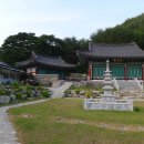 치마바우
