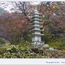 도비산 등산로 이미지