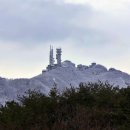 포레스트스테이 이미지