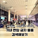 3공단2로2L-7 | 스프레이 화장품 치약 보조배터리 기내반입 기내반입금지 품목 검색 사이트