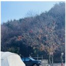 마이산 가자캠핑장 이미지