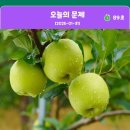 문제와정답
