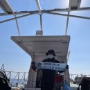 학포웰빙가 | [울릉도 스쿠버투어] 울릉도 스쿠버다이빙