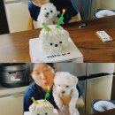 잇댓쥬리 이미지