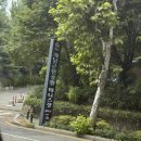 계남공원 | 계남 테니스장 리뷰 / 주차정보