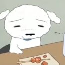흰둥이네 이미지