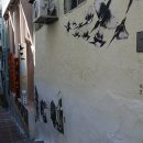 동광세탁 이미지