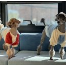 보담동물병원 이미지