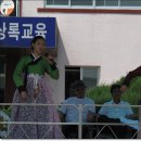 상록초교 이미지