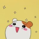 자락애 이미지