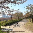 형곡2동 체육공원 족구장, 배구장 | 인천 신석체육공원 - 인천 벚꽃놀이 / 숨은 벚꽃 명소 / 벚꽃 피크닉