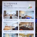 카멜리아 이미지