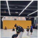 팀에이스태권도 네이버블로그