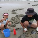 장삼포해수욕장 이미지