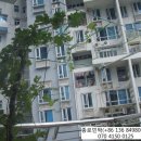 포도나무 민박 이미지