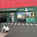 테리앤잠백이