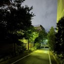 임광 | 성수 구축 재개발 아파트 전세 # 강변임광아파트 임장 후기