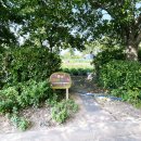 인스나인유치원 이미지