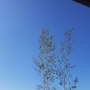 간성농장 이미지