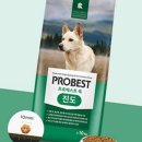 프로애견 이미지