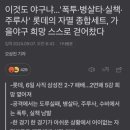 파란갈매기