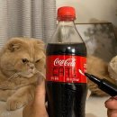 하루의 힐링 이미지