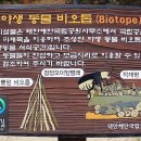 더(The)라온 이미지
