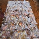 뽑고 또 뽑고 이미지