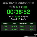 (주)한나글로벌파트너스 | 운동] 2026 월드비전 글로벌 6k for water 마라톤 후기 (인생 첫 마라톤 우중런, 하지만 대성공!)